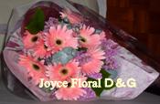 Joyce Floral Ｄ＆Ｇ